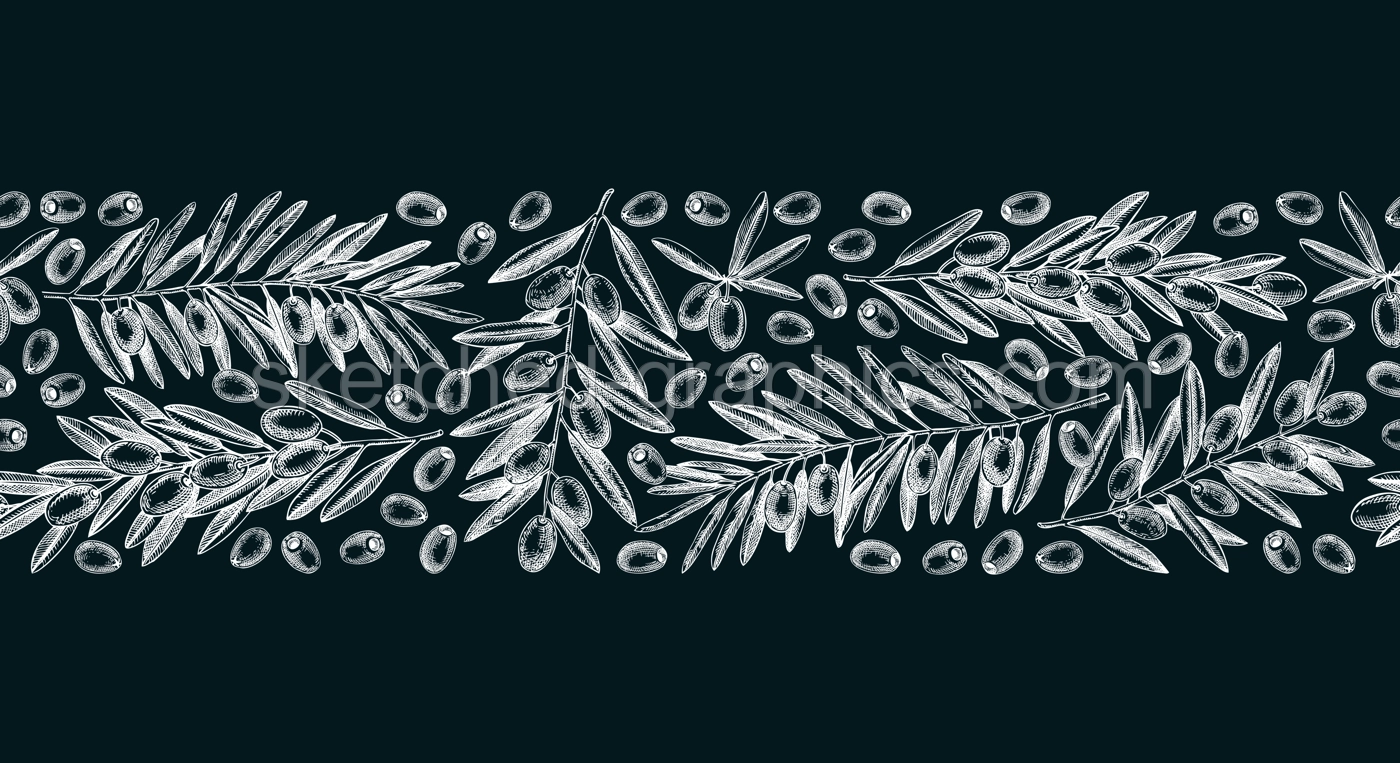Olive branch seamless pattern on chalkboard. Vector banner design with leaves and fruits sketches in vintage style. Vegetable oil ingredients ribbon. Olive plant border template for print or packaging Illustration